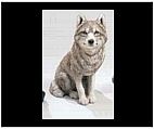 Sitting Gray Wolf Figurine