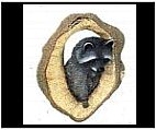 Raccoon Wall Plaque