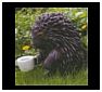 Hedgehog Statues and Figurines