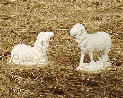 Sheep Statues Pair, ram and ewe sheep statues