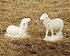 Sheep Statues Pair, ram and ewe sheep statues