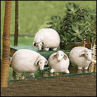 Mini Sheep Figurines - Set of 4