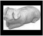 Concrete Pig Statue