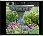 Classical Garden Bird Bath