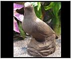 Concrete Alert Dove Statue