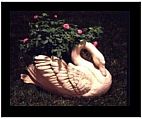 Garden Swan Planter