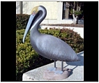 Resting Pelican Statue