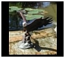 Large to Life Size and Tabletop Eagle Sculptures, Statues and Figurines