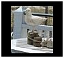 Seagull Statues, Sculptures and Figurines