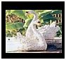 Swan Statues, Sculptures and Gifts