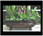 Bronze Footed Planter