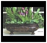 Bronze Planters, Urns and Vases