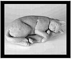 Sleeping Cat Statue