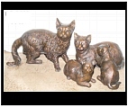 Bronze Family Cats