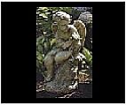 Garden Cherub with Dove