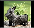 Scottish Terrier Garden Planter