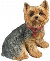 Large Sitting Yorkshire Terrier