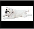 White Bulldog Figurine