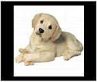 Yellow Labrador Statue