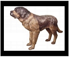 LIfe Size Bronze Saint Bernard