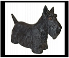 Hand Painted Scottish Terrier