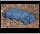 Bassett Hound Sculpture - Garden Display