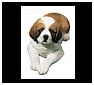 Saint Bernards