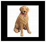 Golden Retriever Statues, Sculptures and Gifts