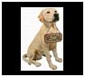 Labrador Retriever Statues, Sculptures and Figurines