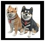 Shiba Inu Sculptures, Figurines and Gifts