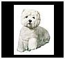 West Highland White Terrier Statues, Sculptures and Figurines