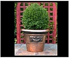 Della Garden Rolled Rim Planter - Large