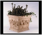 Large Lemon Box Planter