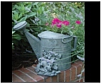 Whimsical Watering Can Planter