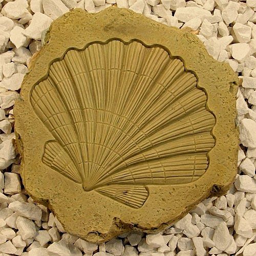 Cockle Shell Stepping Stone