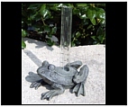 Frog Rain Gauge