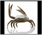 Fighting Dungeness Crab - Brass