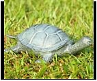 Little Turtle Fountain Statue