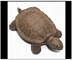 Large Turtle Key Hider