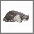 Discover bronze and garden cat statues including concrete cat statues and memorial cat gifts and sculptures.