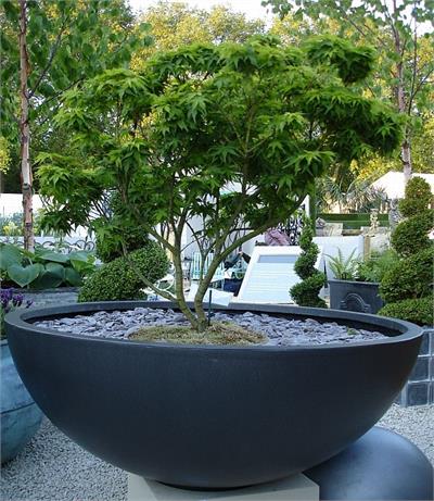 Roma Bowl Planter I