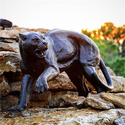 Ferocious Cougar Bronze Sculpture