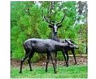 Life Size Bronze Buck and Doe Sculptures