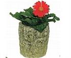 Small Tree Trunk Planters - Set of 2