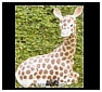 Giraffe Statues, Sculptures and Figurines