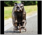 Bear Cyclist Statue