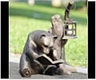 Attentive Reading Bear Sculpture