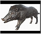 Extra Large Boar Sculpture - Bronze