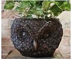 Hootie the Owl Planter