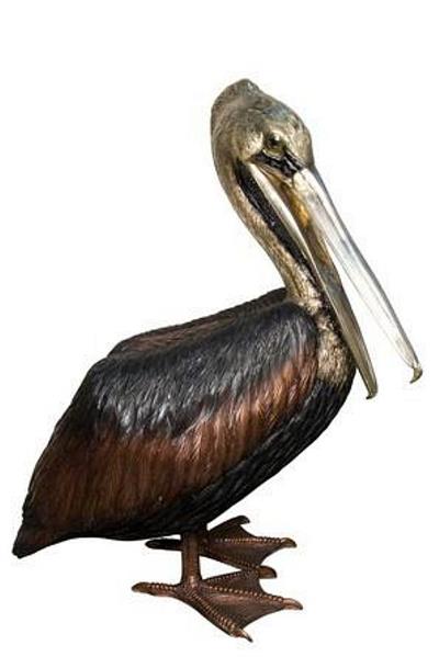 Large Regal Pelican Sculpture